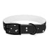 Celestial black dog collar for medium-sized pups with starry pattern.