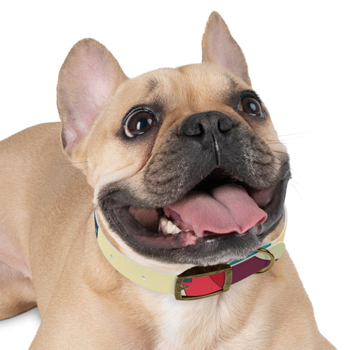 Retro Waves Dog Collar: Vibrant, Stylish and Fun!