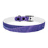 Stylish black onyx dog collar with lavender fields seamless pattern.