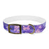 Luxurious Lavender Fields Dog Collar with Calming Lavender Blooms Pattern