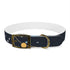 Starry Night Dog Collar: Constellation Chic