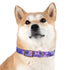 Lavender Fields Dog Collar: Stylish M Black Onyx Walk Accessory.