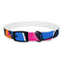Neon graffiti dog collar in M size, black onyx variant accessory.
