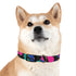 Neon graffiti dog collar in medium, black onyx for urban chic.