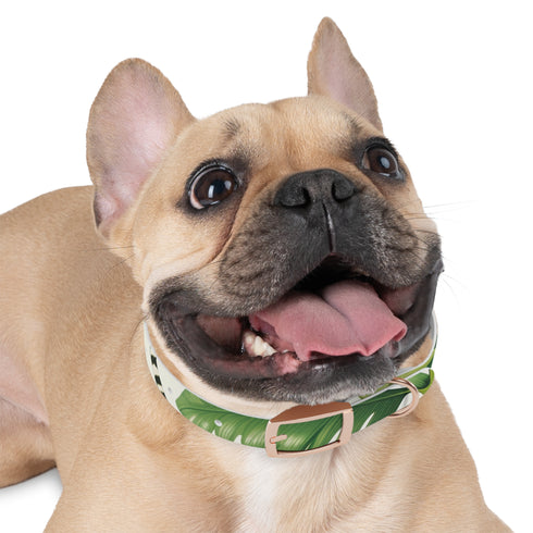 Tiger Stripe Jungle Collar: Adventure for Your Pup