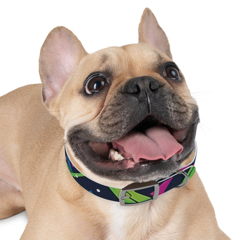 Neon graffiti dog collar M in black onyx for trendy pets.