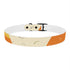 Retro Wave Dog Collar: Colorful & Stylish
