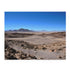 Desert Oasis Jigsaw Puzzle with vibrant colors capturing Atacama beauty.