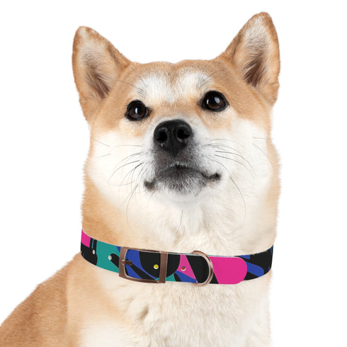 Neon graffiti dog collar: fashionable urban chic accessory for medium dogs.