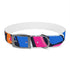 Neon graffiti urban dog collar, M size, black onyx accessory for pets.