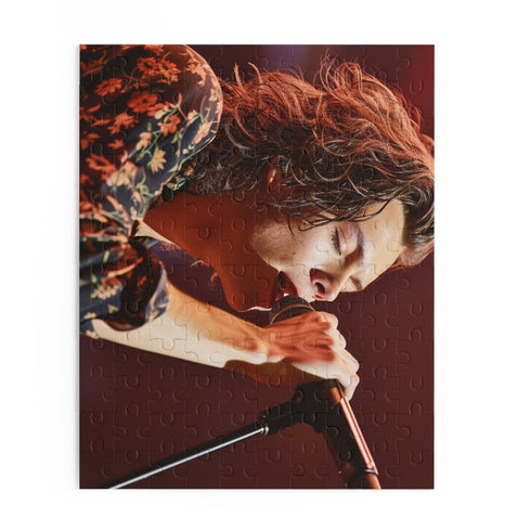 Harry Styles singing jigsaw puzzle, 10" x 8", 120 pieces