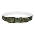 Tiger Print Jungle Safari Collar