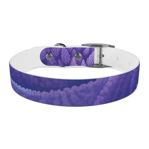 Stylish black lavender fields dog collar for medium-sized pets.