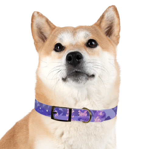 Lavender Fields Dog Collar: M Black Onyx Luxury Pet Accessory Walk.