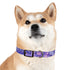 Lavender Fields Dog Collar: M Black Onyx Luxury Pet Accessory Walk.