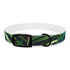 Tiger Stripe Jungle Safari Collar