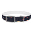Festive Fireworks Dog Collar in Black Onyx for M-sized dogs