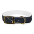 Starry Night Dog Collar: Constellation Chic