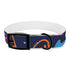 Neon graffiti dog collar: vibrant urban style statement for medium dogs.
