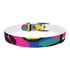 Neon graffiti dog collar with urban chic black onyx design.