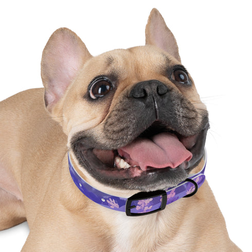 Luxurious Lavender Fields Dog Collar for stylish pets in M.