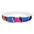 Neon graffiti urban dog collar in medium size, black onyx.