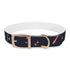 Festive Fireworks Dog Collar in Medium Black Onyx with Vibrant Colorful Pattern