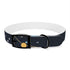 Starry Night Dog Collar: Constellation Chic