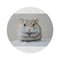 "Adorable Gerbil Painting Rug"