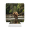 Alaska Brown Bear Can Sleeve