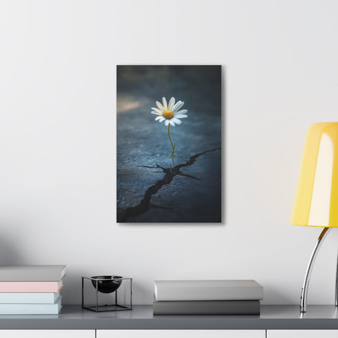 Beauty in Cracks Daisy Resilience Canvas, White Flower Emerging, Symbolizes Resilience