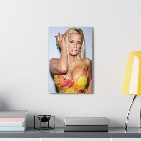 Sunset sky beauty canvas art with captivating hues for home decor.