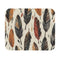 Boho Feathers Chic Mouse Pad