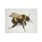 "Bumblebee Bliss Watercolor Bed Cover"