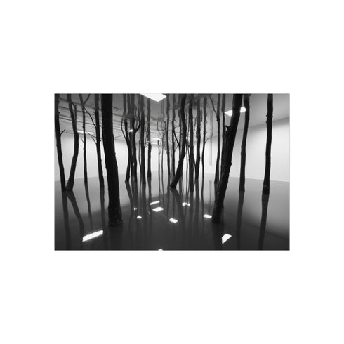 Buy 02 Mirror Forest Poster