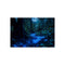 Buy Bioluminescent Jungle Poster Online
