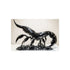 Buy Black Crystal Scorpion Poster