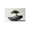 Buy Bonsai Tree Meteorite Art