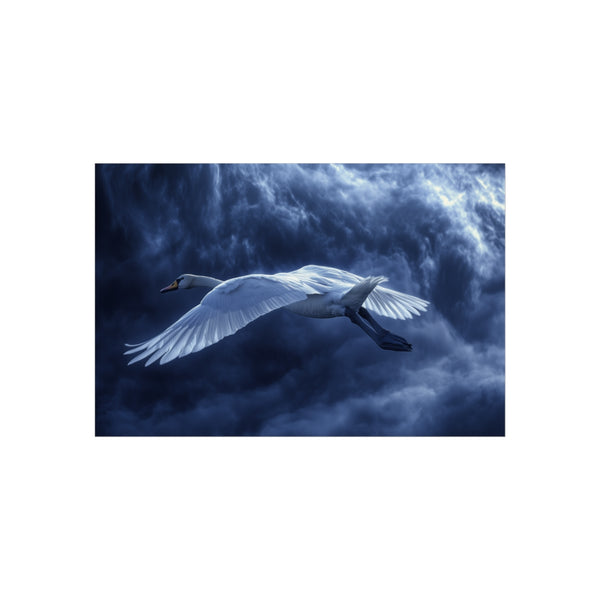 Buy Custom 24 Swan Poster Now