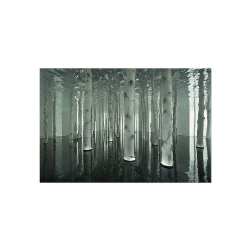Buy Custom Mirror Forest Poster