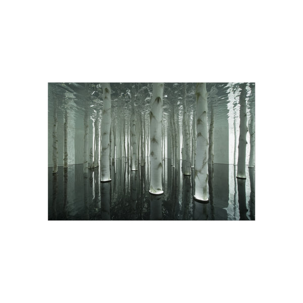 Buy Custom Mirror Forest Poster