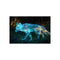 Buy Enchanting Glass Fox Poster