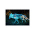 Buy Enchanting Glass Fox Poster
