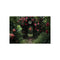 Buy Enchanting Portal Garden Poster