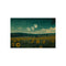 Buy Enchanting Sunflower Field Poster