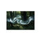 "Buy Enchanting Wind Spirits Poster"