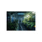 Buy Exotic Rainforest Space Station Poster