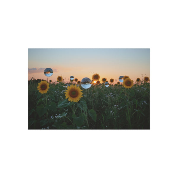Buy Floating Mirror Sunflower Posters