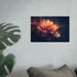 Buy Flower Petal Nebula Poster
