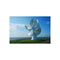 Buy Flower-Shaped Wind Turbine Today